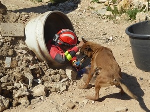 Un perro de la UME localizando a uno de los soldados escondidos en los zulos del Campo de Entrenamiento de Perros de Rescate de La Nucía