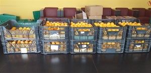 Donación particular de fruta fresca de Adolfina Gómez al Programa de Alimentos