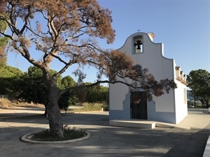 La Nucia recibió una subvención de la Diputación de Alicante para llevar a cabo las actuaciones necesarias para intentar conservar el pino de la Ermita de Sant Vicent del Captivador