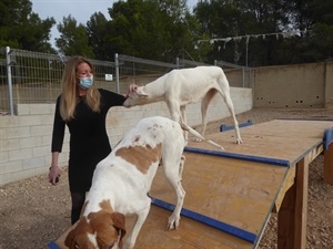 Jessica Gommans, concejala de Protección Animal, en uno de los parque cans del Refugio